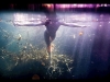 Neil Craver Underwater photography