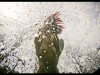 Neil Craver Underwater photography