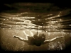 Neil Craver Underwater photography