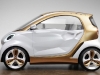 Smart Forvision