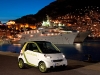 Smart ED Frankfurt 2011