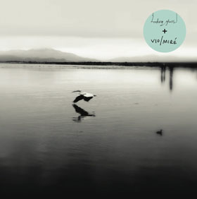 Looking Glass vio/mire