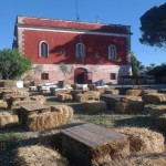 Puglia - Trulli