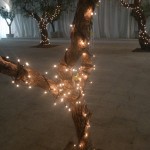 Puglia - Trulli