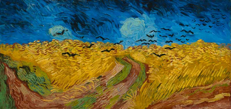 Wheatfield with crows