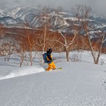 Day 3: Looking for a gap in the trees