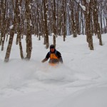Day 4: In the trees of Seki Onsen