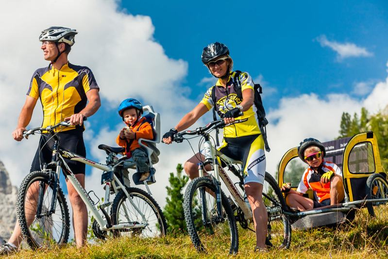 33 family mountain bike